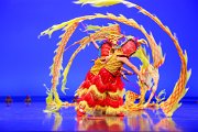 img_0019