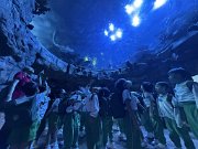 img_1156