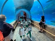 img_4582