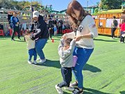 img_20241129_103757