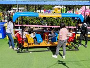 img_20241129_115314
