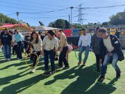 img_20241129_140125
