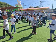 img_20241129_141012
