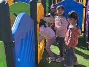 img_6837