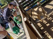 img_6936
