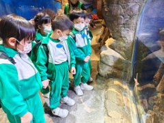 img20251023125709_01