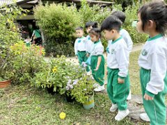 aimg_4361