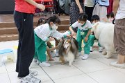 img_8283