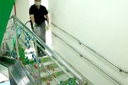a10img_1985
