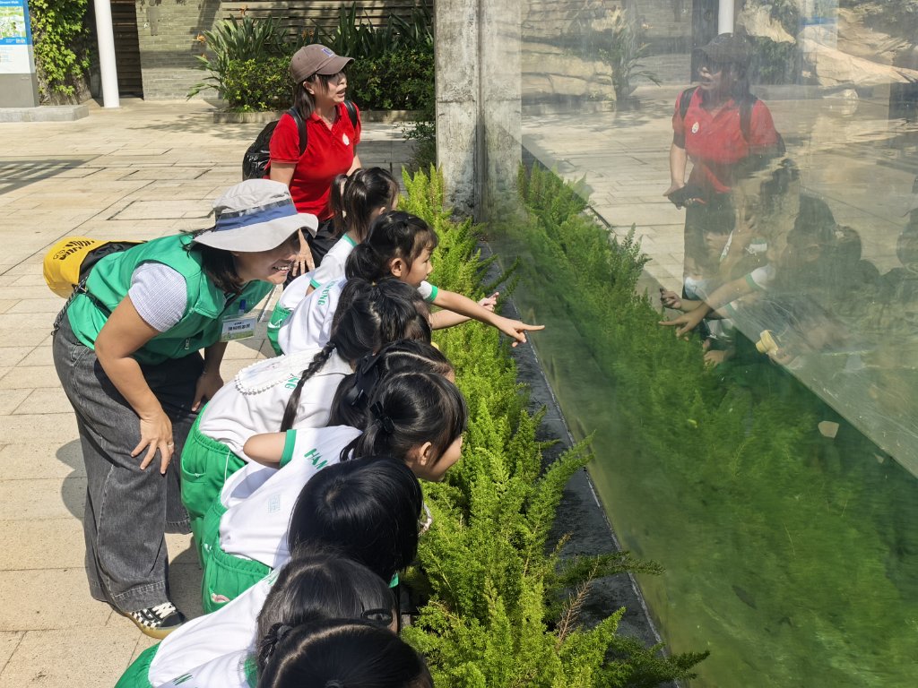 img_20251010_100837.jpg - _cuva