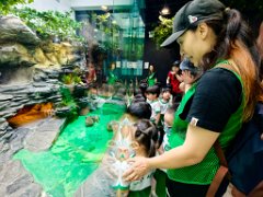 img_20260602_094756